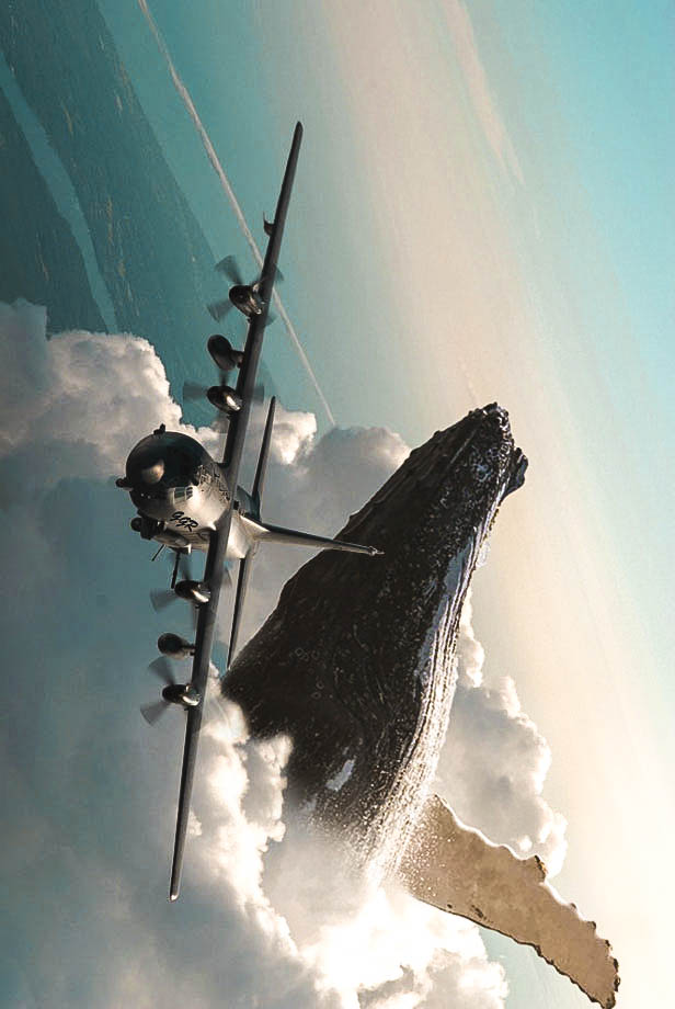 La Guarda Del Cielo